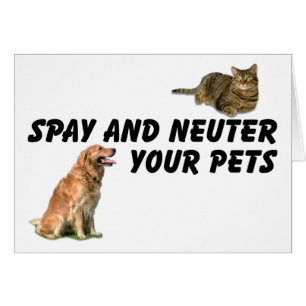 Spay och Neuter Hälsningskort