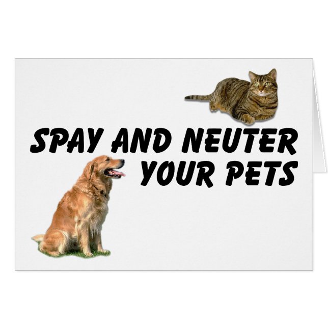 Spay och Neuter Hälsningskort (Framsidan Horizontal)