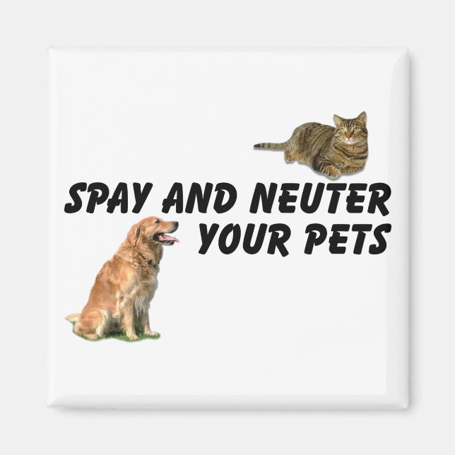 Spay och Neuter Magnet (Framsidan)