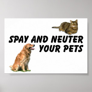 Spay och Neuter Poster