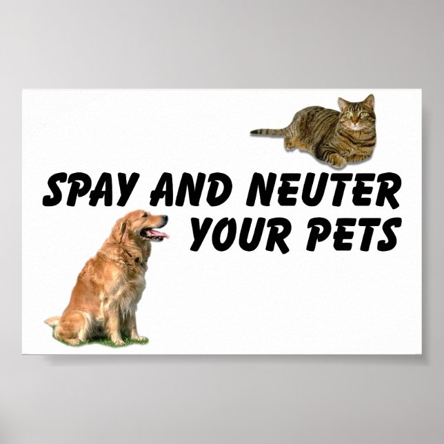 Spay och Neuter Poster (Framsidan)