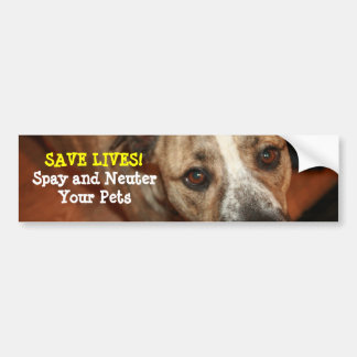 Spay och sterilisera! bildekal