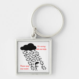 "Spay och sterilisera" högvärdiga Keychain Fyrkantig Silverfärgad Nyckelring