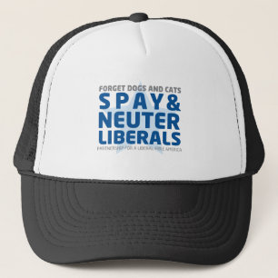 SPAY OCH STERILISERA KEPS