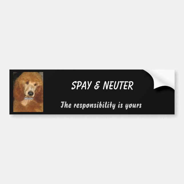 Spay & sterilisera bildekalet bildekal (Framsidan)