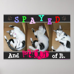 Spayed och stolt över det poster