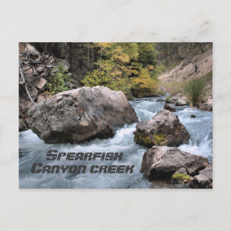 Spearfish Canyon Bäck Vykort