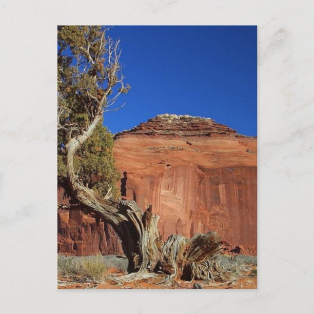 Spearhead Mesa i Monument Valley Vykort (Framsida)