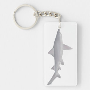Speartooth Shark