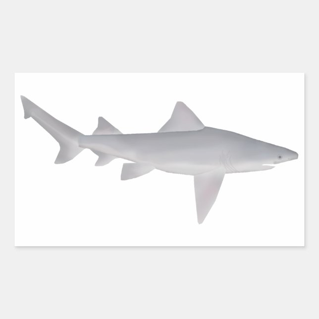 Speartooth Shark Rektangulärt Klistermärke (Framsida)