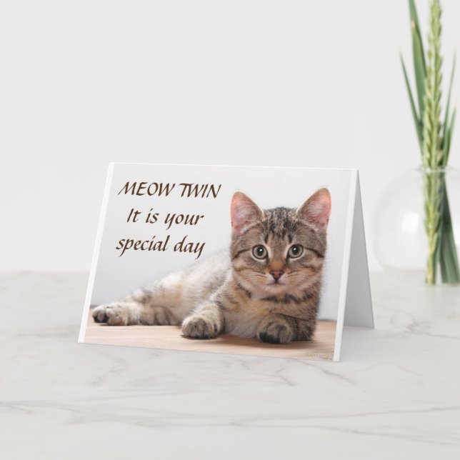 **SPECIAL CAT'S BIRTHDAY WISH TO SPECIAL TWIN** KORT (Framsida)