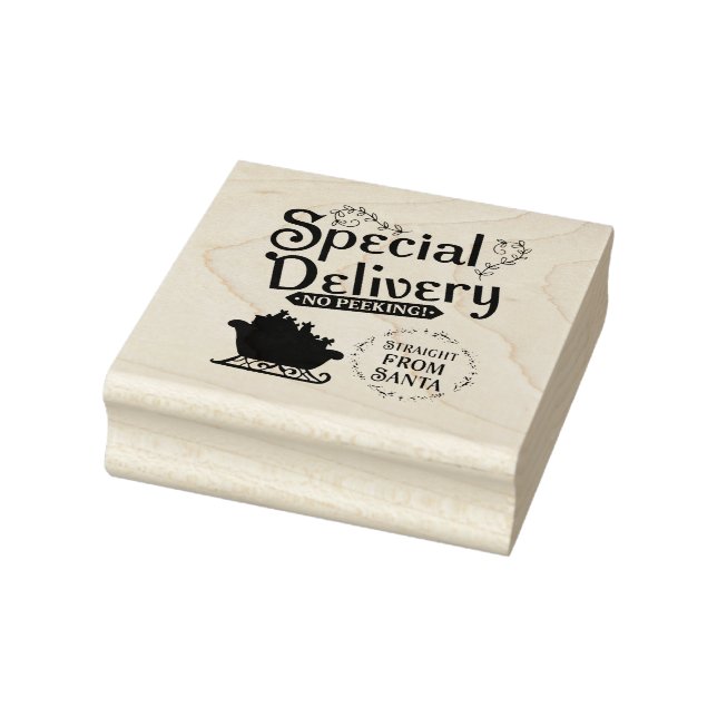 Special Delivery Straight from Santa Stämpel (Stämpel)