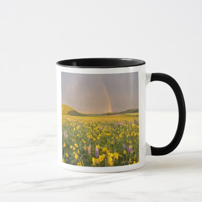 Speciell äng med vilda blommor vid soluppgången 2 mugg (Höger)