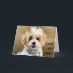 "SPECIELL BIRTHDAY 16th" för DIG! Kort<br><div class="desc">VILKET 16:e BIRTHDAY-KORT,  GÖR INTE DIG TÄNKA!!!!!!!! Och kom ihåg att du kan ändra AGE och VERSE om du vill. TACK för att jag stannar vid 1 av mina 8 butiker!!</div>