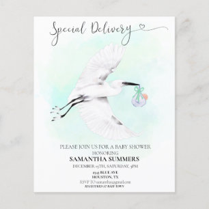 Speciell Delivery Watercolor Stork Baby-dusch