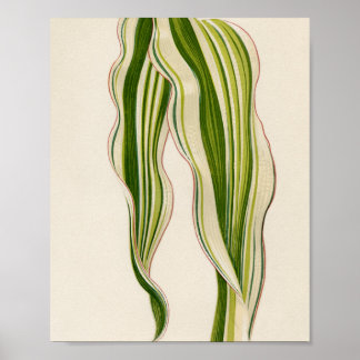 Speciell gåva från  trädgårdsmästare poster