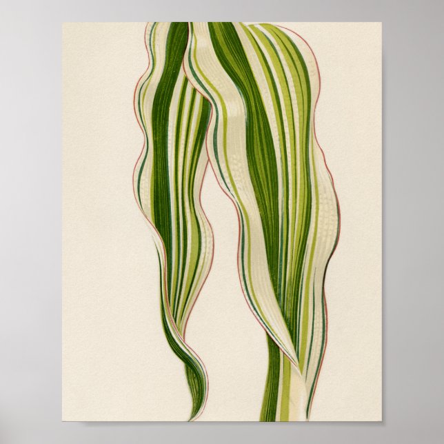 Speciell gåva från  trädgårdsmästare poster (Framsidan)