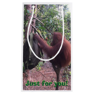 Speciell gullig djur bäst gåva någonsin