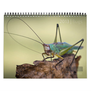 SPECIELL" KALENDER FÖR 2013 KRYP "VID FOTO FÖR