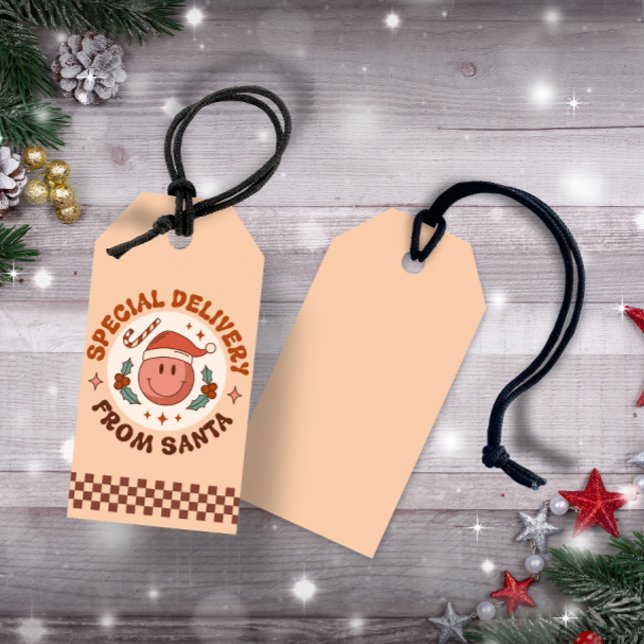 Speciell leverans från tomten presentetikett (Special Delivery from Santa Gift Tags)