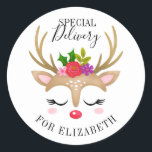 Speciell Leverans julklapp Reindeer Ansikte Runt Klistermärke<br><div class="desc">En söt renare ansikte dekorerar detta med ord Speciell Delivery. Roligt för att dekorera din flickas julklappar. Anpassa den till valfri namn. Designad av Blackberry Boulevard.</div>