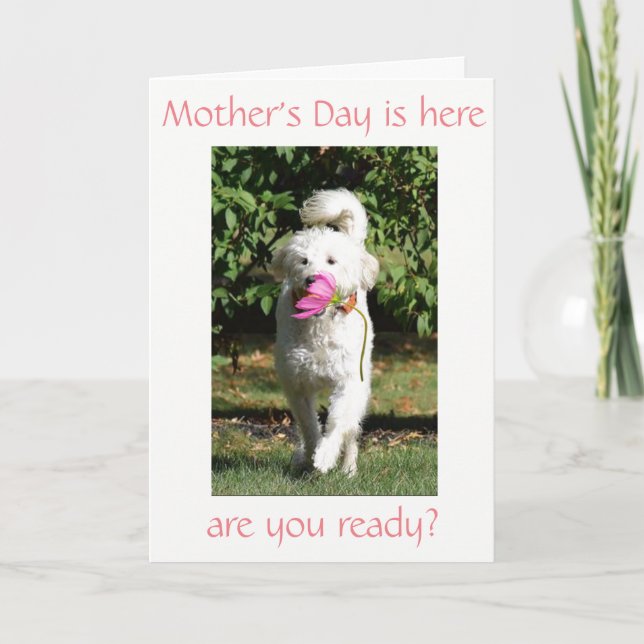 SPECIELL ÖNSKAN FÖR ***MAMMA** OM MORS DAG KORT (Framsida)