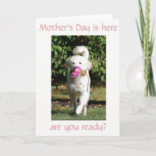 SPECIELL ÖNSKAN FÖR ***MAMMA** OM MORS DAG KORT