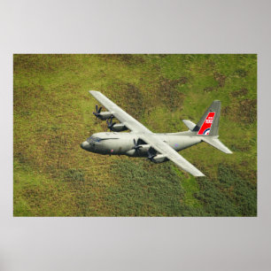 Speciell RAF Centenary Svan Poster