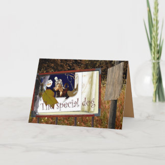 Speciella hund kort