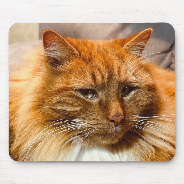 Speciella Kattunge Nemo Mousepad Musmatta (Framsidan)