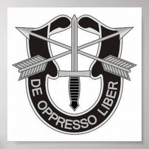 Speciella styrkor SF De Oppresso Liber Poster