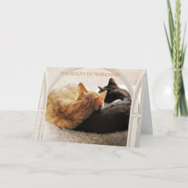 SPECIELLA VÄLJAREN GRATTIS PÅ FÖDELSEDAGEN KORT