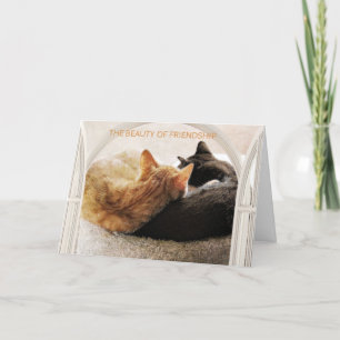 SPECIELLA VÄLJAREN GRATTIS PÅ FÖDELSEDAGEN KORT