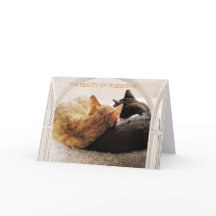 SPECIELLA VÄLJAREN GRATTIS PÅ FÖDELSEDAGEN