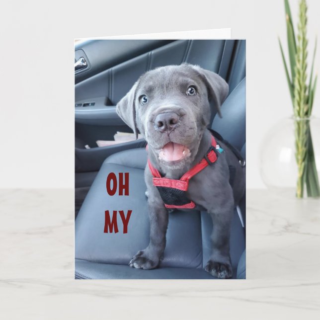 SPECIELLT 50:e BIRTHDAY-ÖNSKEMÅL FRÅN EN SPECIELL  Kort (Framsida)