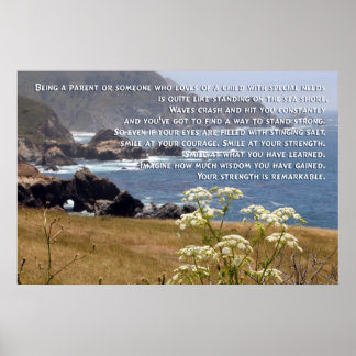 Speciellt behov av överordnad Poster