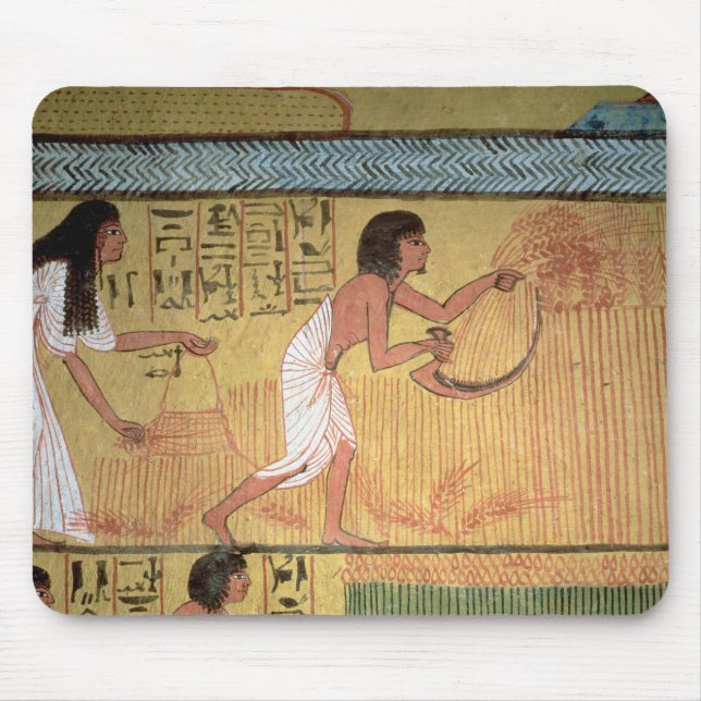 Specificera av en skördplats på den östliga väggen musmatta (Framsidan)