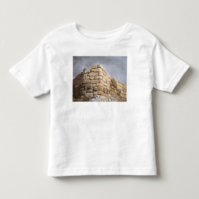 Specificera av en stenvägg t shirt (Framsida)