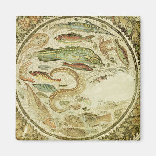 Specificera av fisken, de fyra säsongerna, från magnet