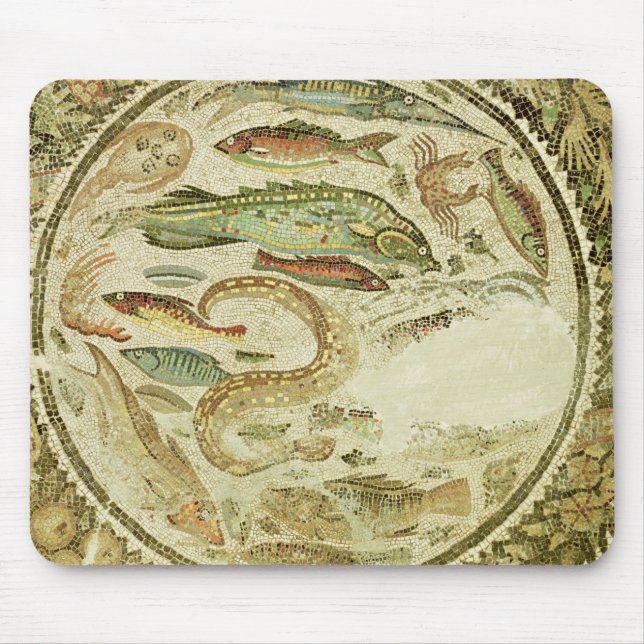 Specificera av fisken, de fyra säsongerna, från musmatta (Framsidan)