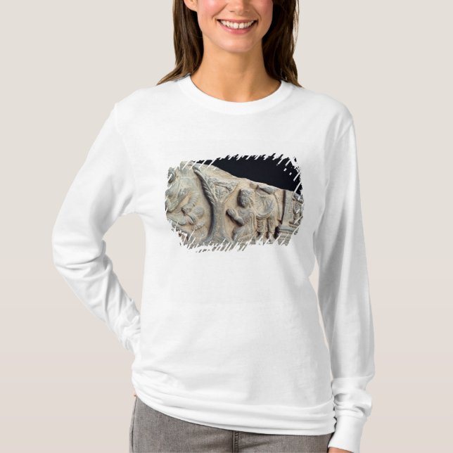 Specificera av lättnadsfris som visar placerad t shirt (Framsida)