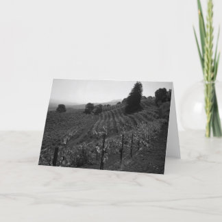 Specificera Drapervingårdar nära St Helena, 1966 Kort