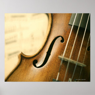 Specificerad fiol poster