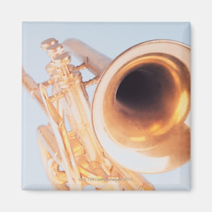 Specificerad trumpet 2 magnet