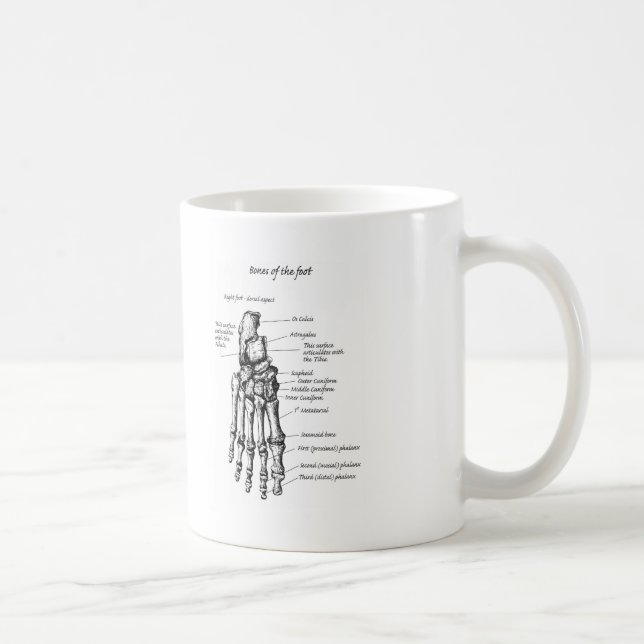 Specificerar av benen av foten kaffemugg (Höger)
