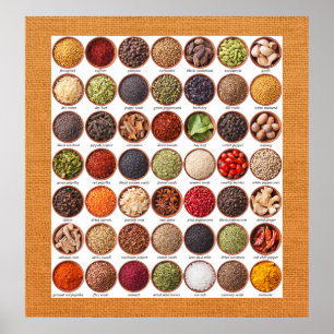 Specifikationsdiagram Poster - SRF