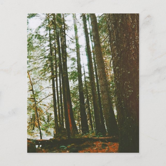 Speck Fodral Flygblad (Framsidan)