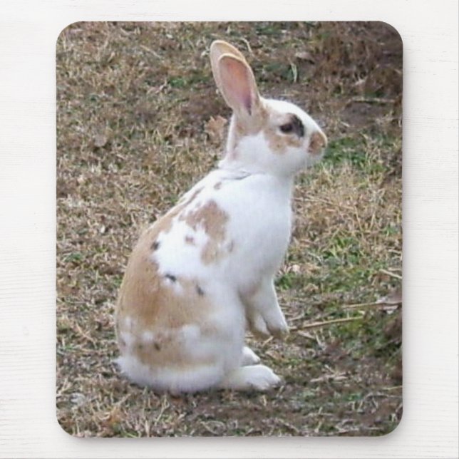 Specklad Bunny Rabbit... Musmatta (Framsidan)