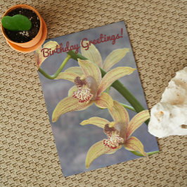 Specklad Cymbidium Orchids Blommigt Birthday Kort