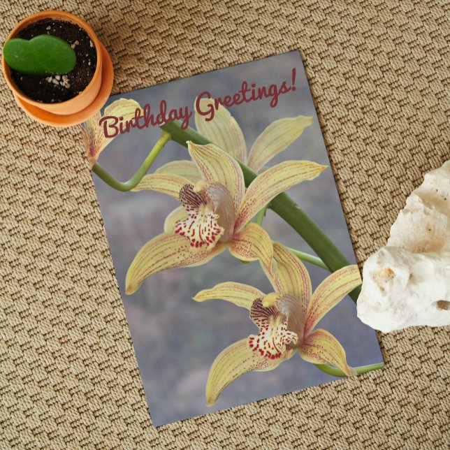 Specklad Cymbidium Orchids Blommigt Birthday Kort (In Situ)